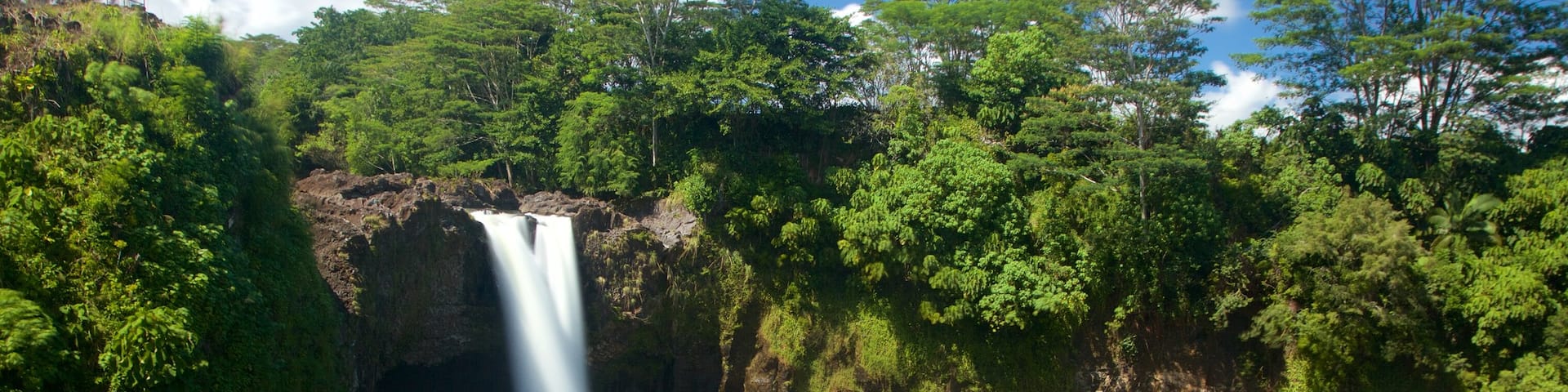 Rainbow Falls ofreciendo un jardín y una cascada