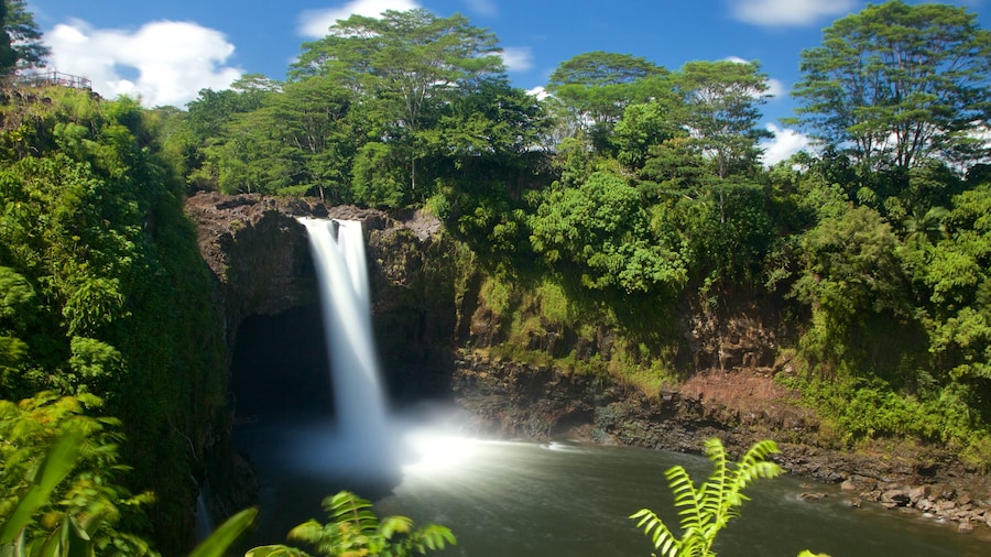 Rainbow Falls showing a cascade and a park