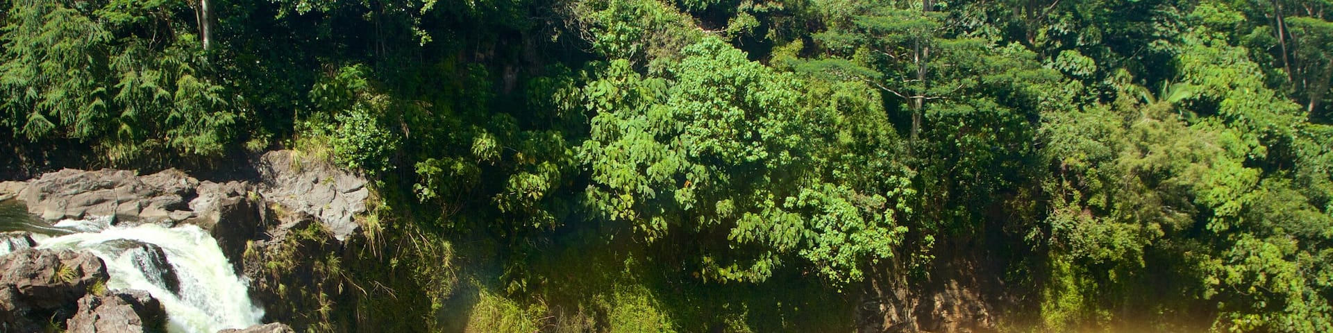Rainbow Falls qui includes parc et cascade