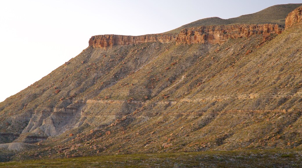 Salt Flat qui includes montagnes