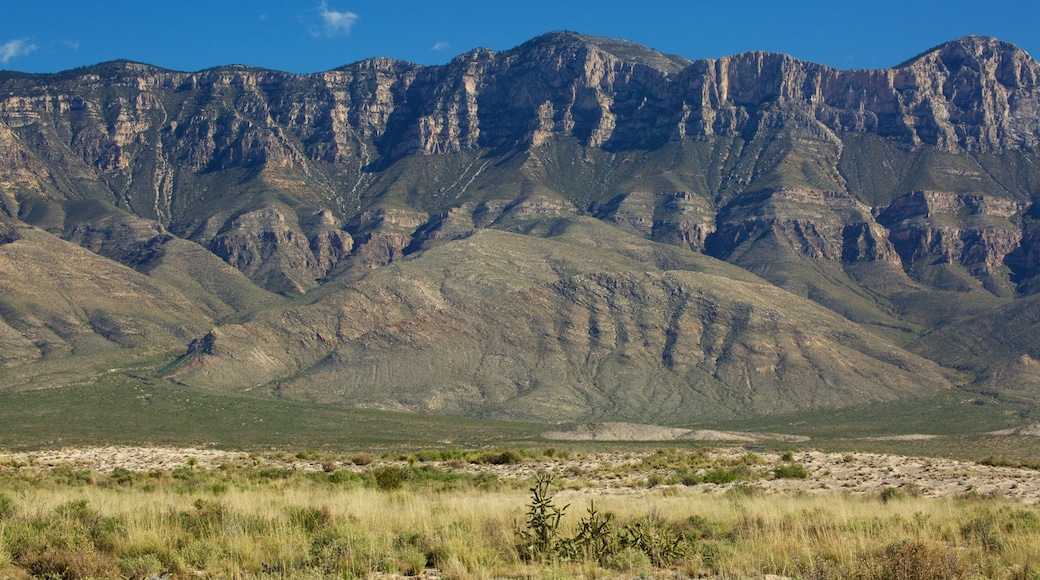 Guadalupe Mountains National Park showing mountains