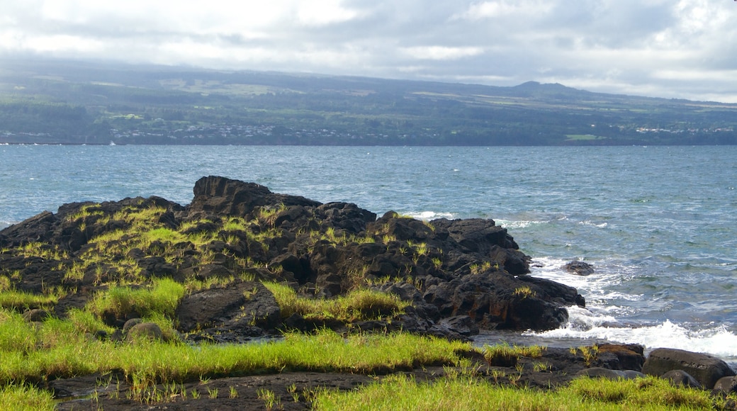 Keaukaha Beach Park som visar klippig kustlinje