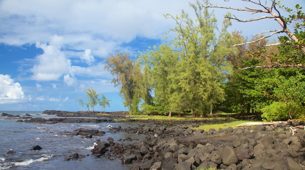 Keaukaha Beach Park som inkluderar klippig kustlinje