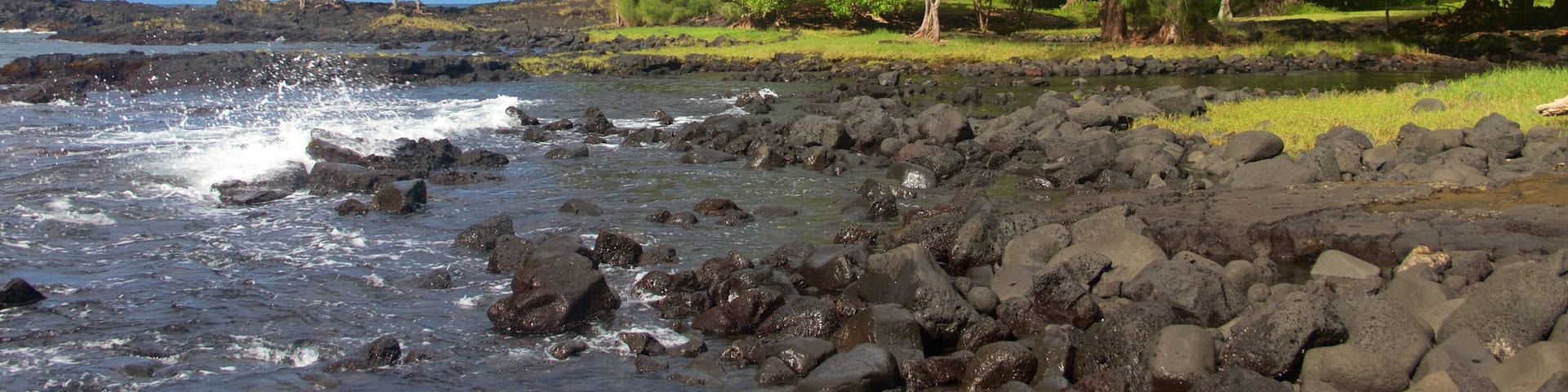 Keaukaha Beach Park featuring rugged coastline