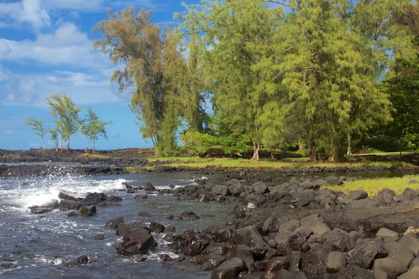 Keaukaha Beach Park das einen Felsküste