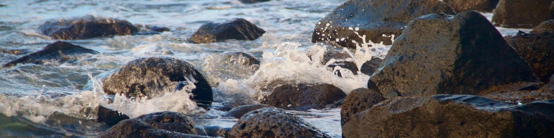 Onekahakaha Beach Park showing rocky coastline