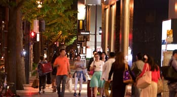 Shinsaibashi welches beinhaltet Straßenszenen