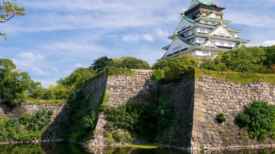 Osaka Castle showing château or palace