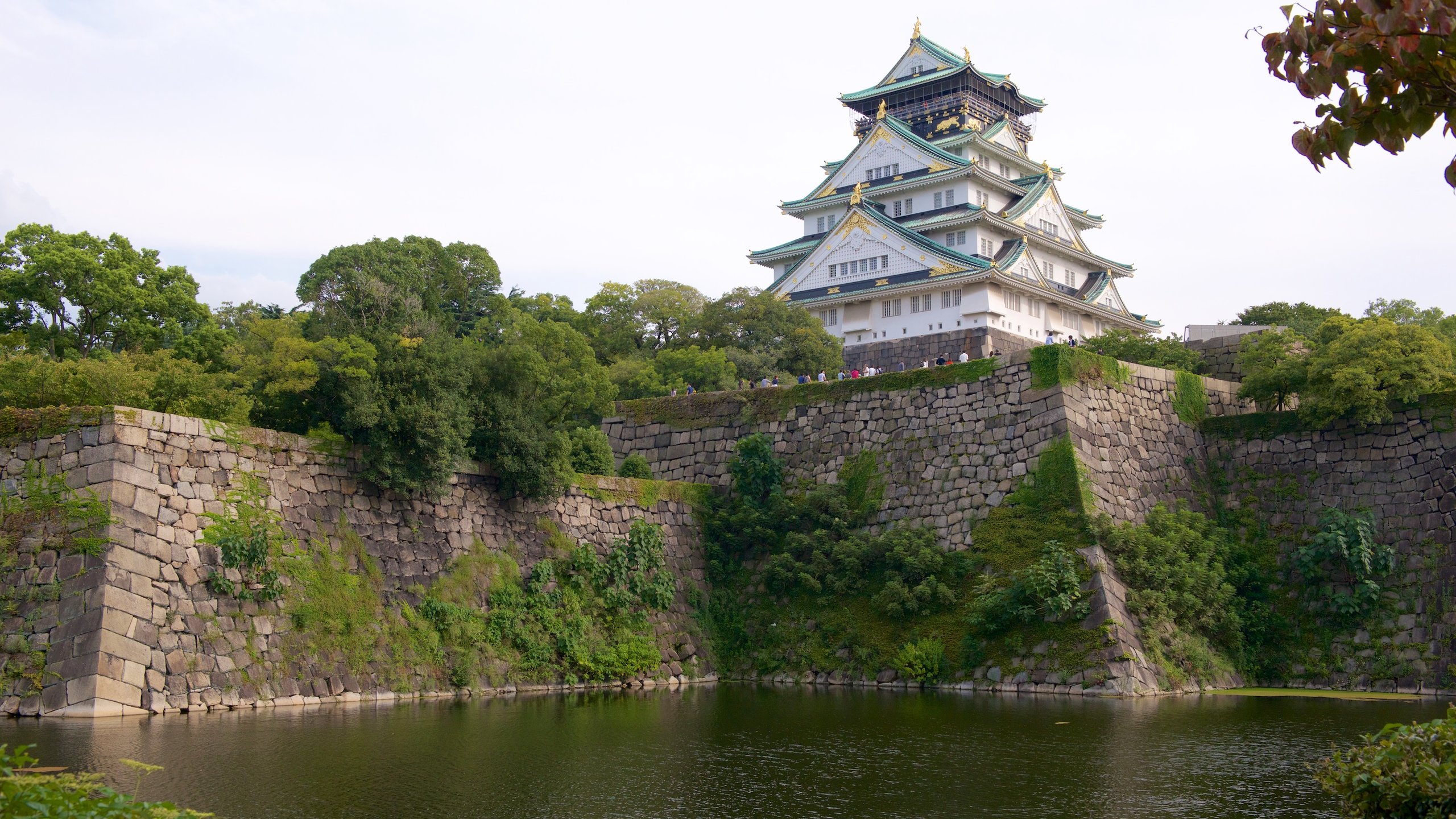 Osaka Castle showing a castle