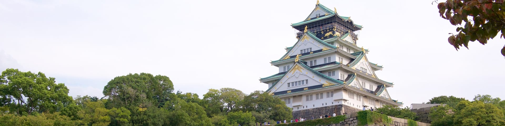 Osaka Castle featuring a castle