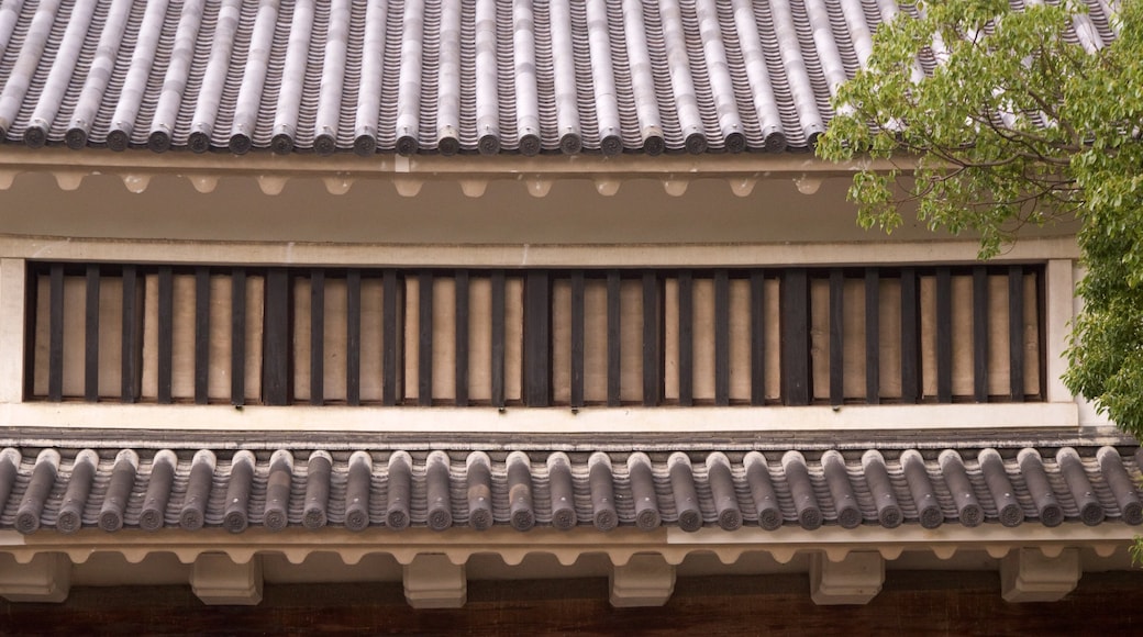 Osaka Castle featuring a castle