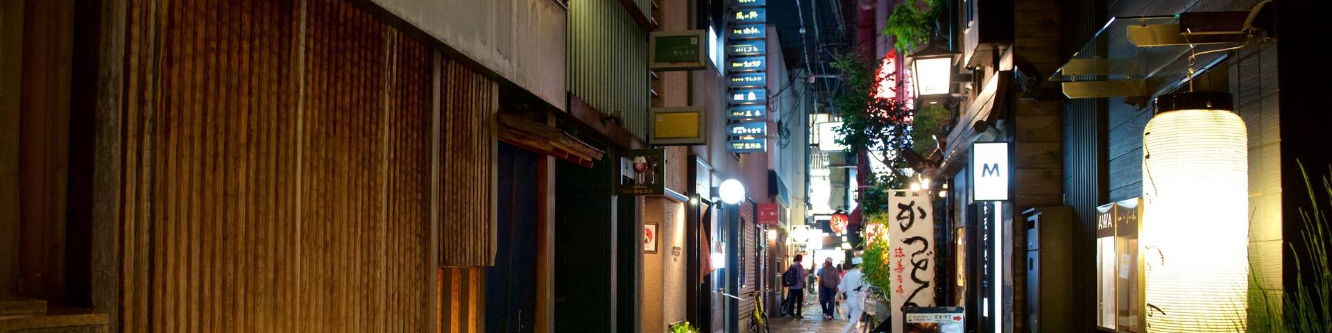 Hozenji-Yokocho Alley featuring street scenes