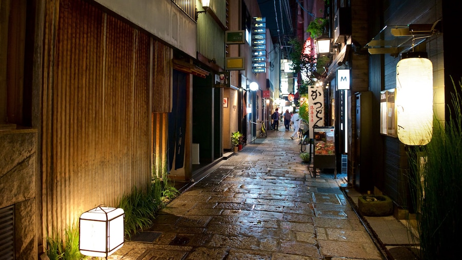 Hozenji-Yokocho caratteristiche di strade