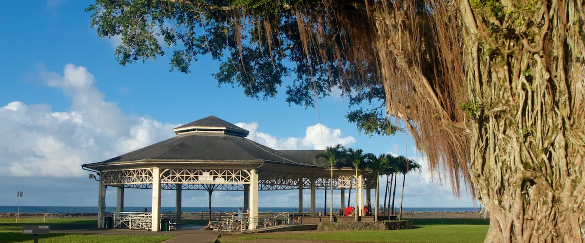 Hawaii showing a park