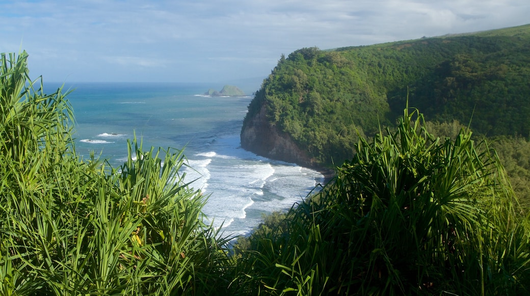 Kapaau which includes general coastal views