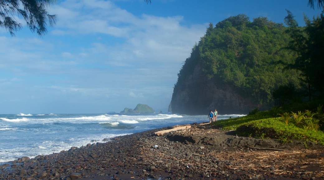 Kapaau cho thấy cảnh bờ biển