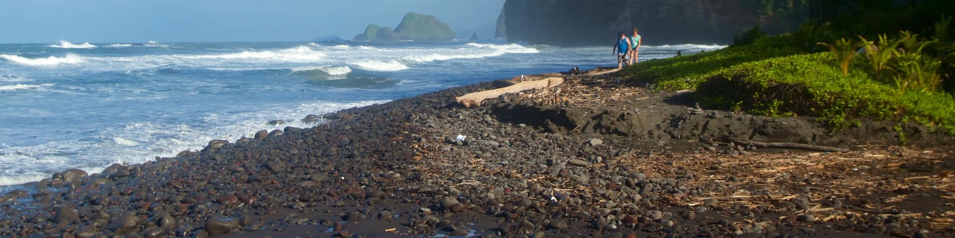 Kapaau showing general coastal views
