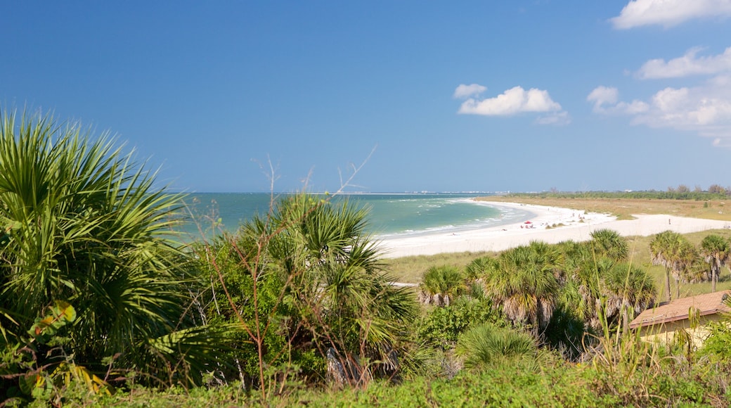 Fort De Soto Park featuring a sandy beach