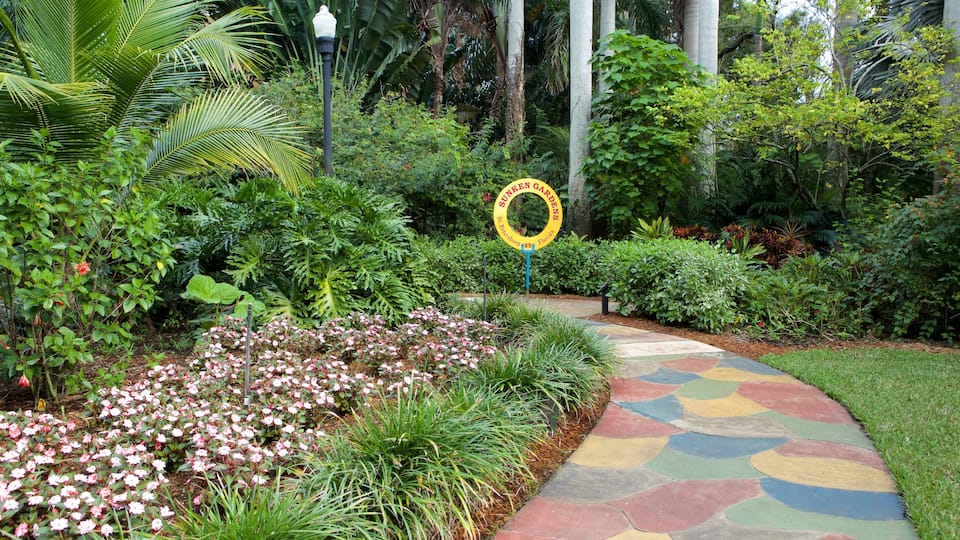 Sunken Gardens showing a garden