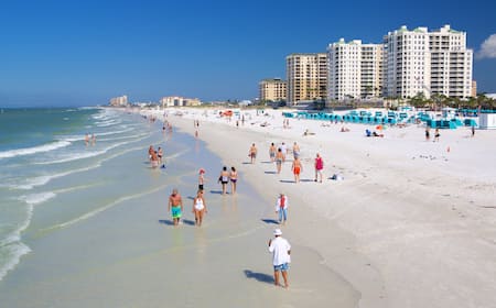 things to do in clearwater fl