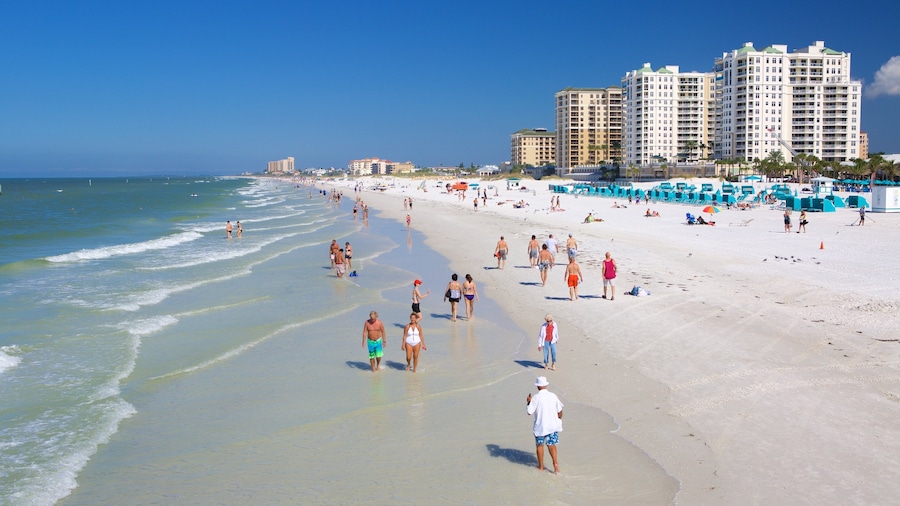 Clearwater Beach som visar en kuststad och en sandstrand