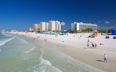 unusual things to do in clearwater, florida