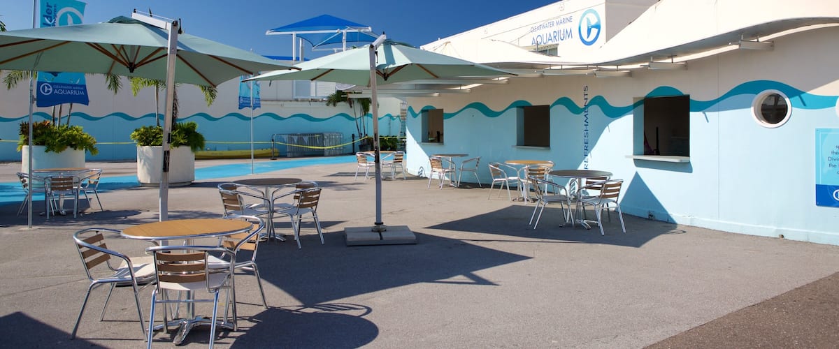 Clearwater featuring cafe scenes