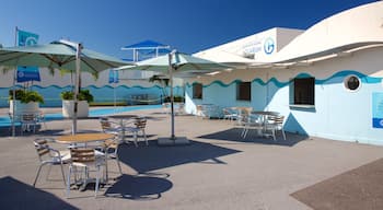 Clearwater mostrando ambiente de cafetería