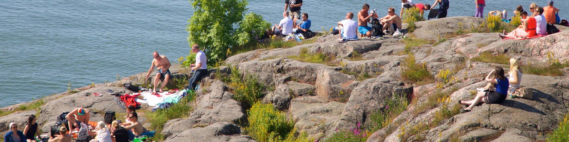Suomenlinna Fortress showing general coastal views as well as a large group of people