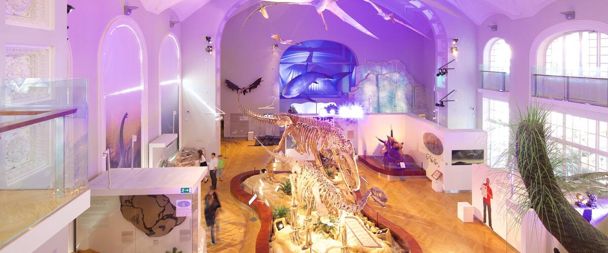 Natural History Museum of Helsinki