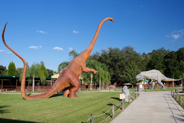 Dinosaur World Museum