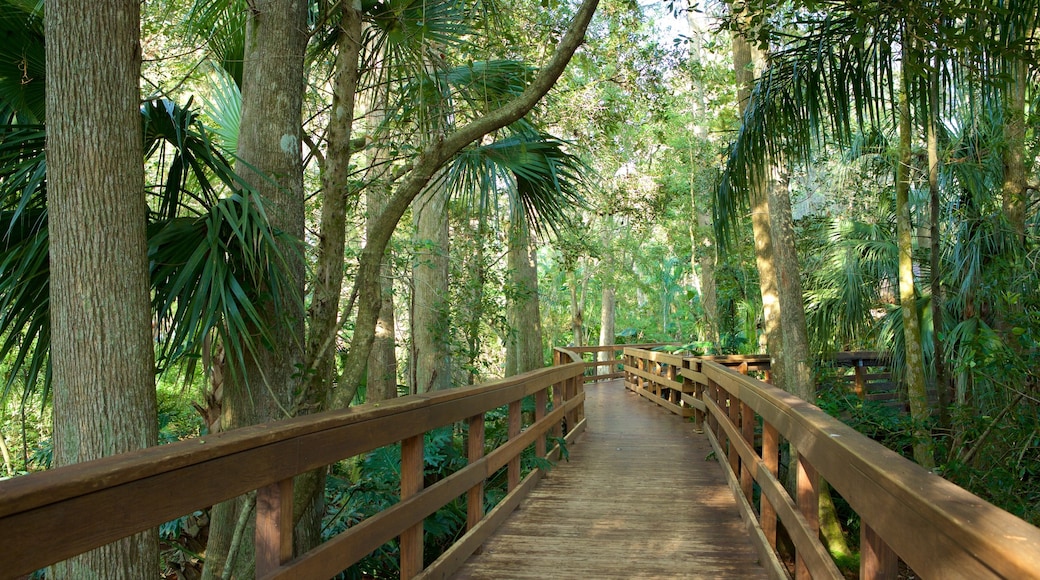 Plant City