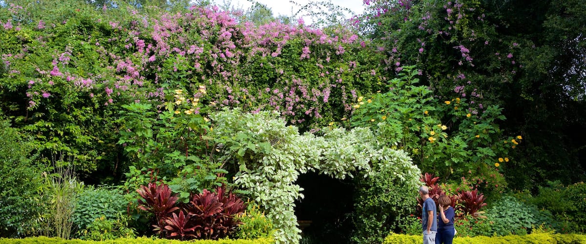 Sunken Gardens 设有 公園 和 野花 以及 佳偶