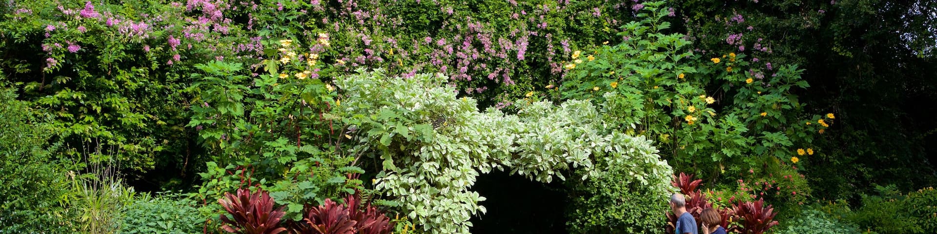 Sunken Gardens showing wildflowers and a garden as well as a couple