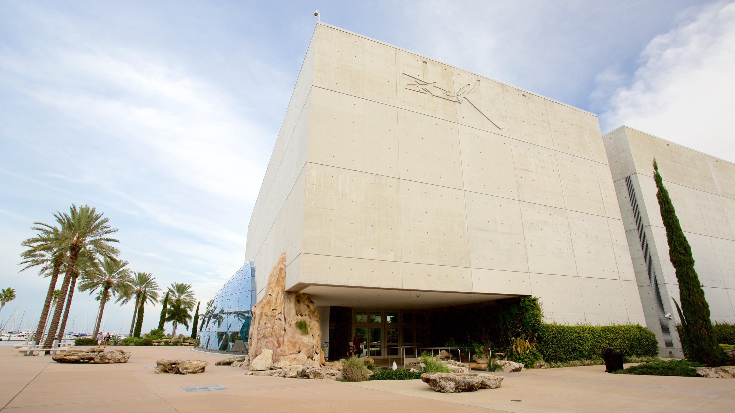 サルバドール ダリ リトグラフ 冬のセントラルパーク サルバドール ダリ博物館 (ダウンタウン セントピーターズバーグ