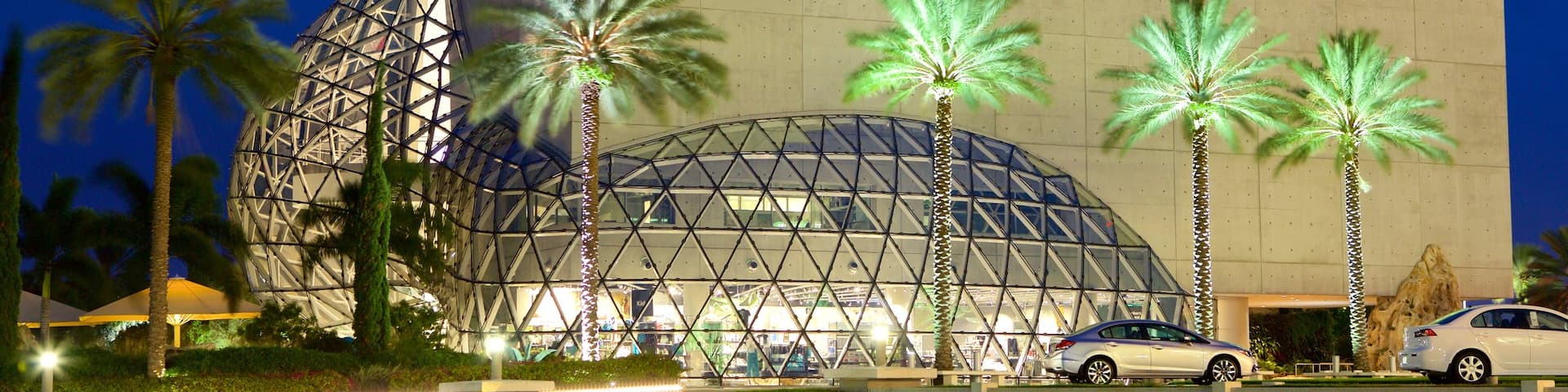 Salvador Dali Museum showing night scenes and modern architecture