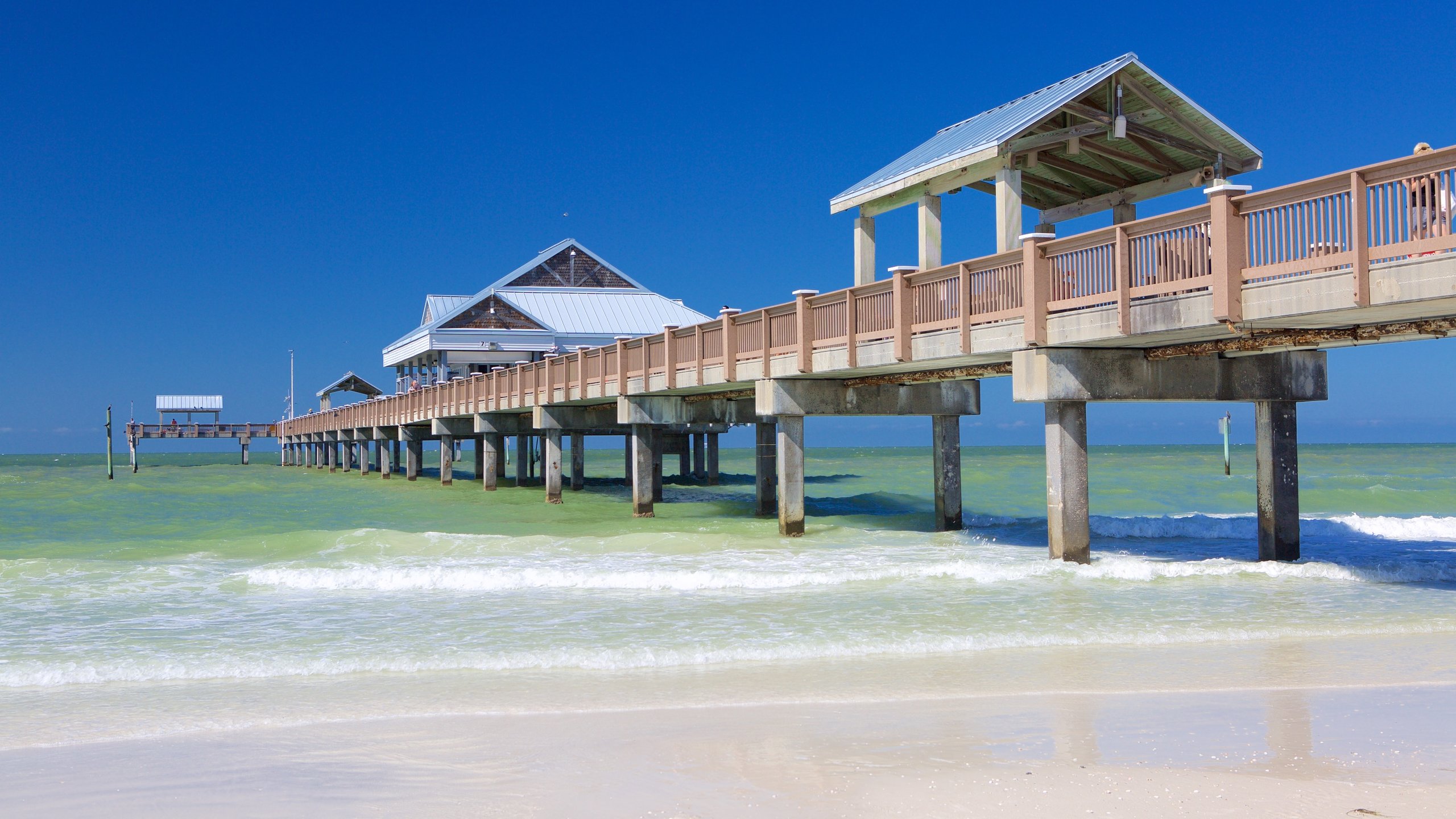 Pier 60 Park showing a sandy beach and general coastal views