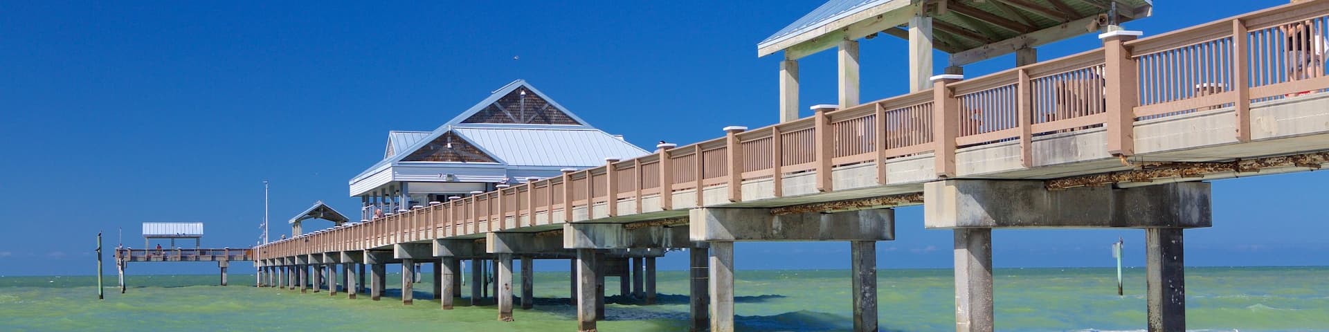 Pier 60 Park showing a beach and general coastal views
