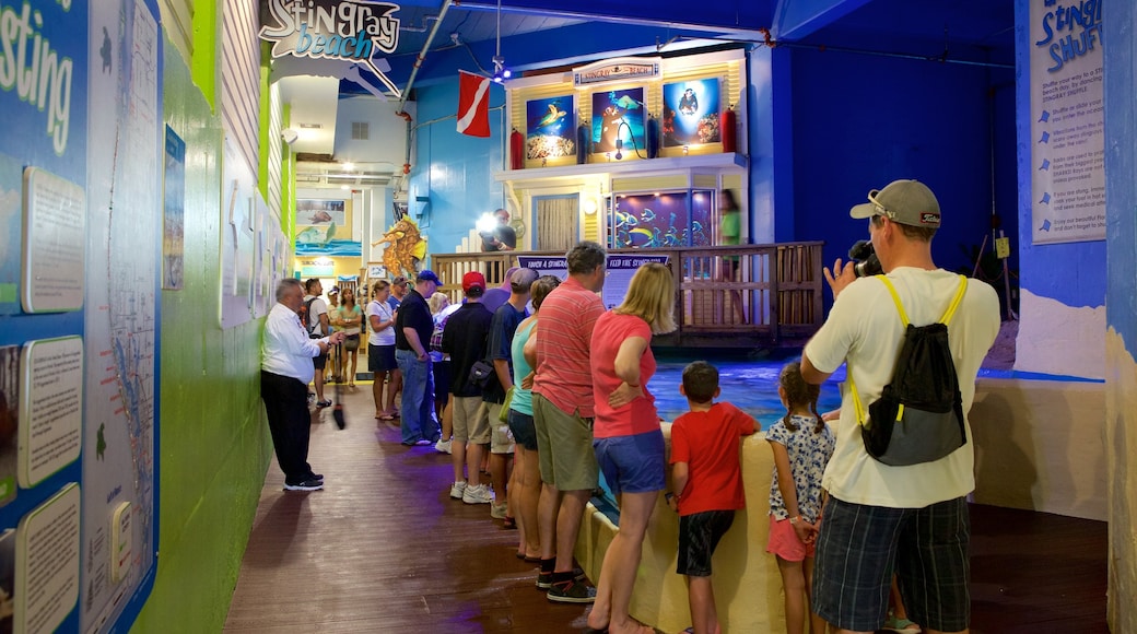 Clearwater Marine Aquarium featuring marine life as well as a large group of people