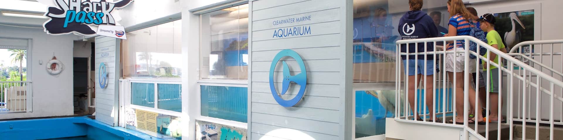 クリアウォーター海洋水族館 どの含み 海洋生物 及び 少数の人々