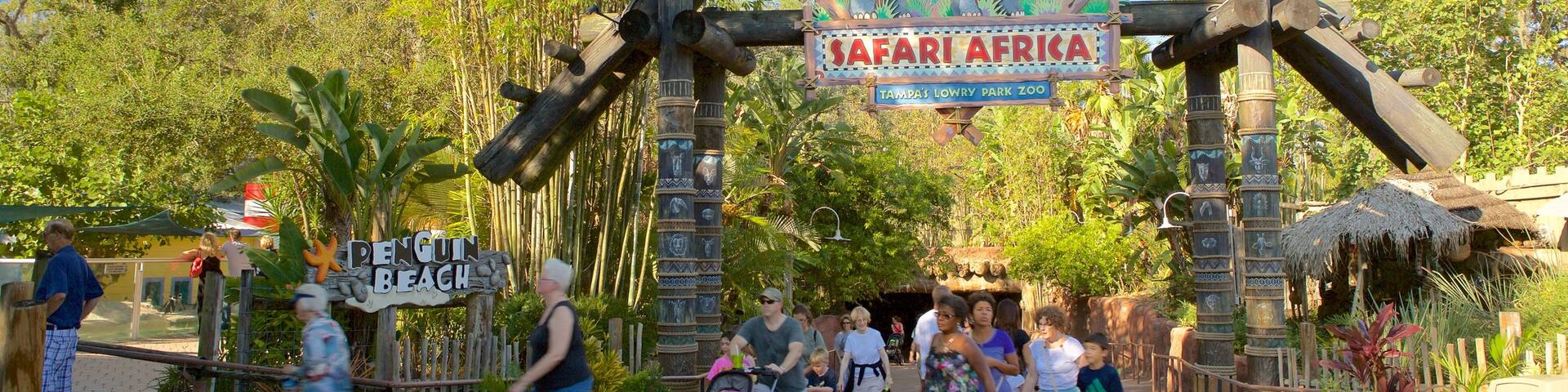 Lowry Park Zoo featuring rides and signage