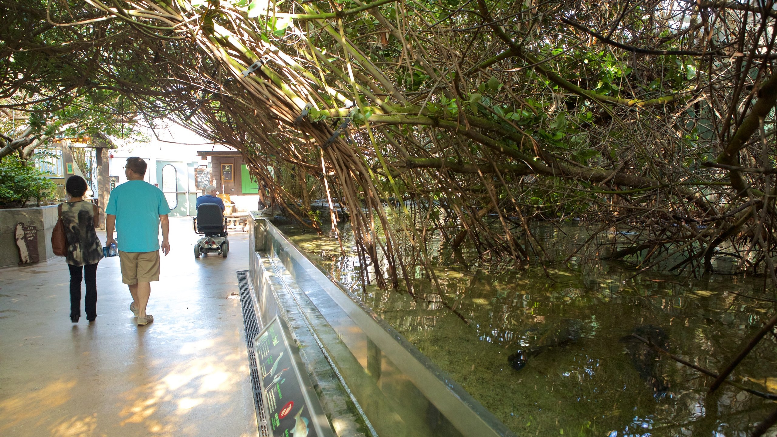 Florida Aquarium which includes marine life as well as a couple