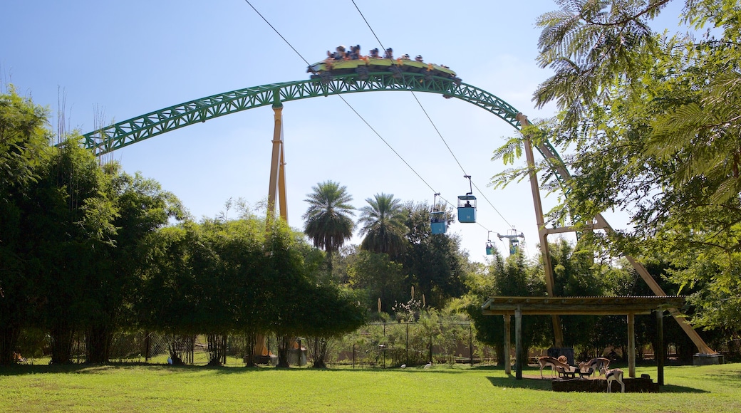 Busch Gardens Tampa Bay