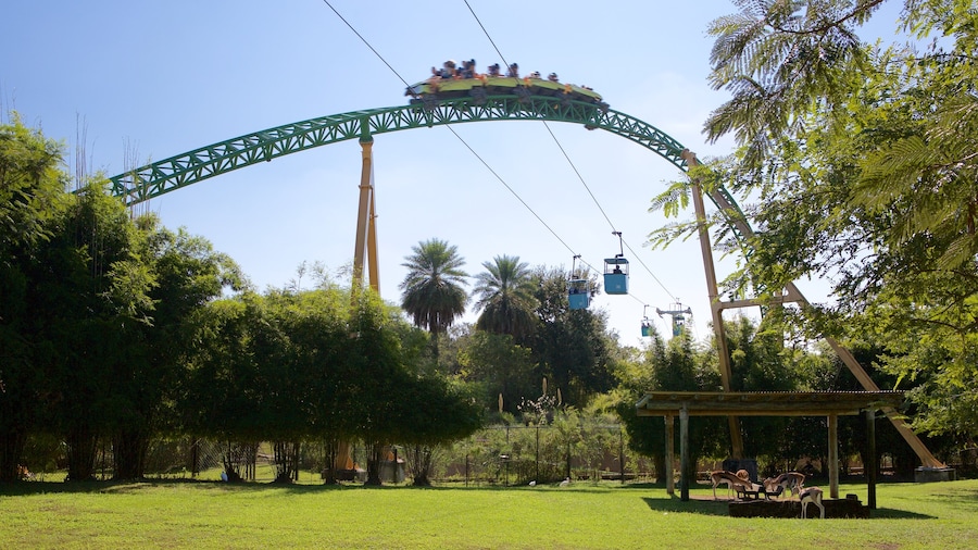 Parque temático Busch Gardens de la bahía de Tampa