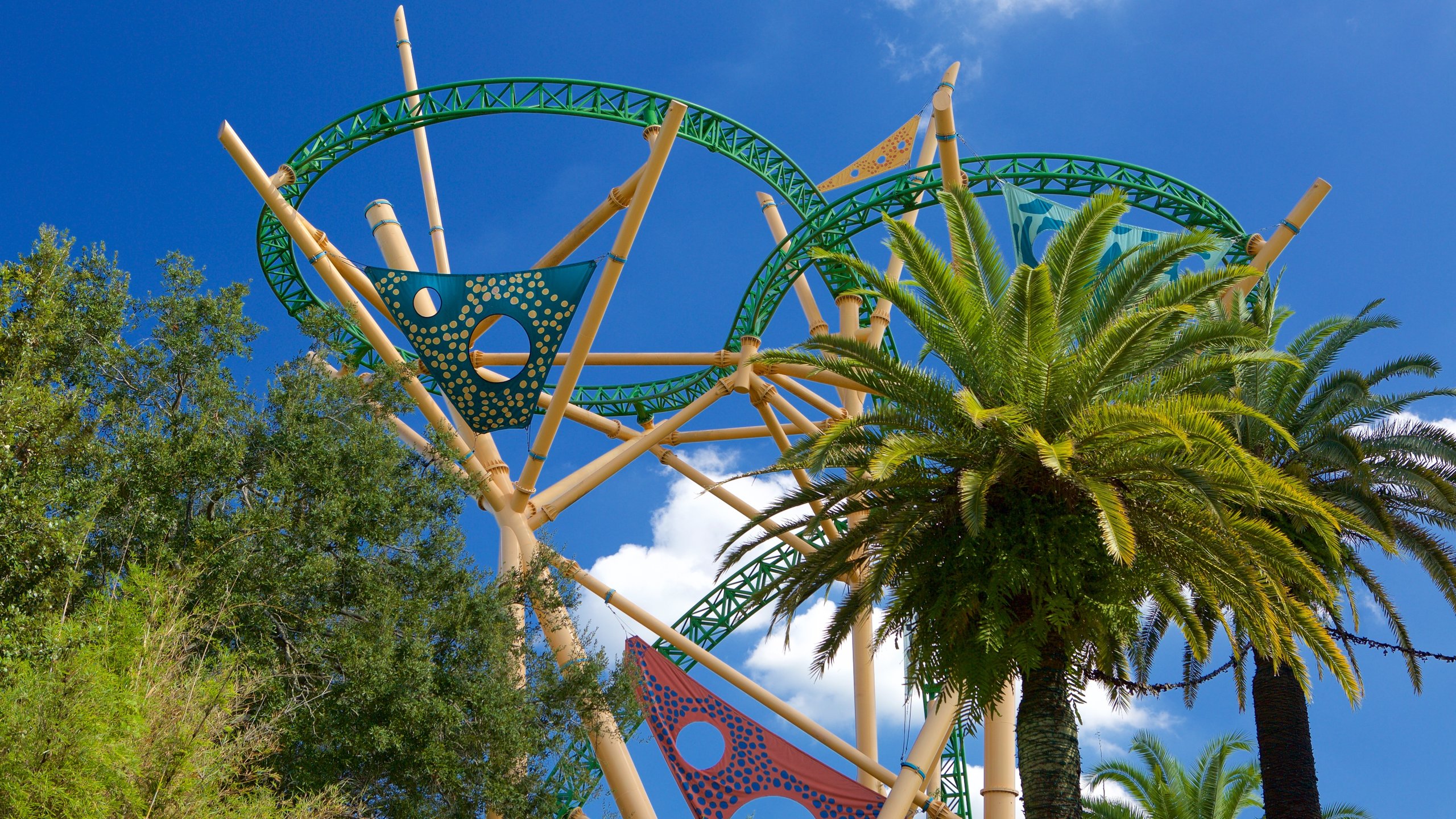 Busch Gardens Tampa Bay, Tampa - Book Tickets & Tours