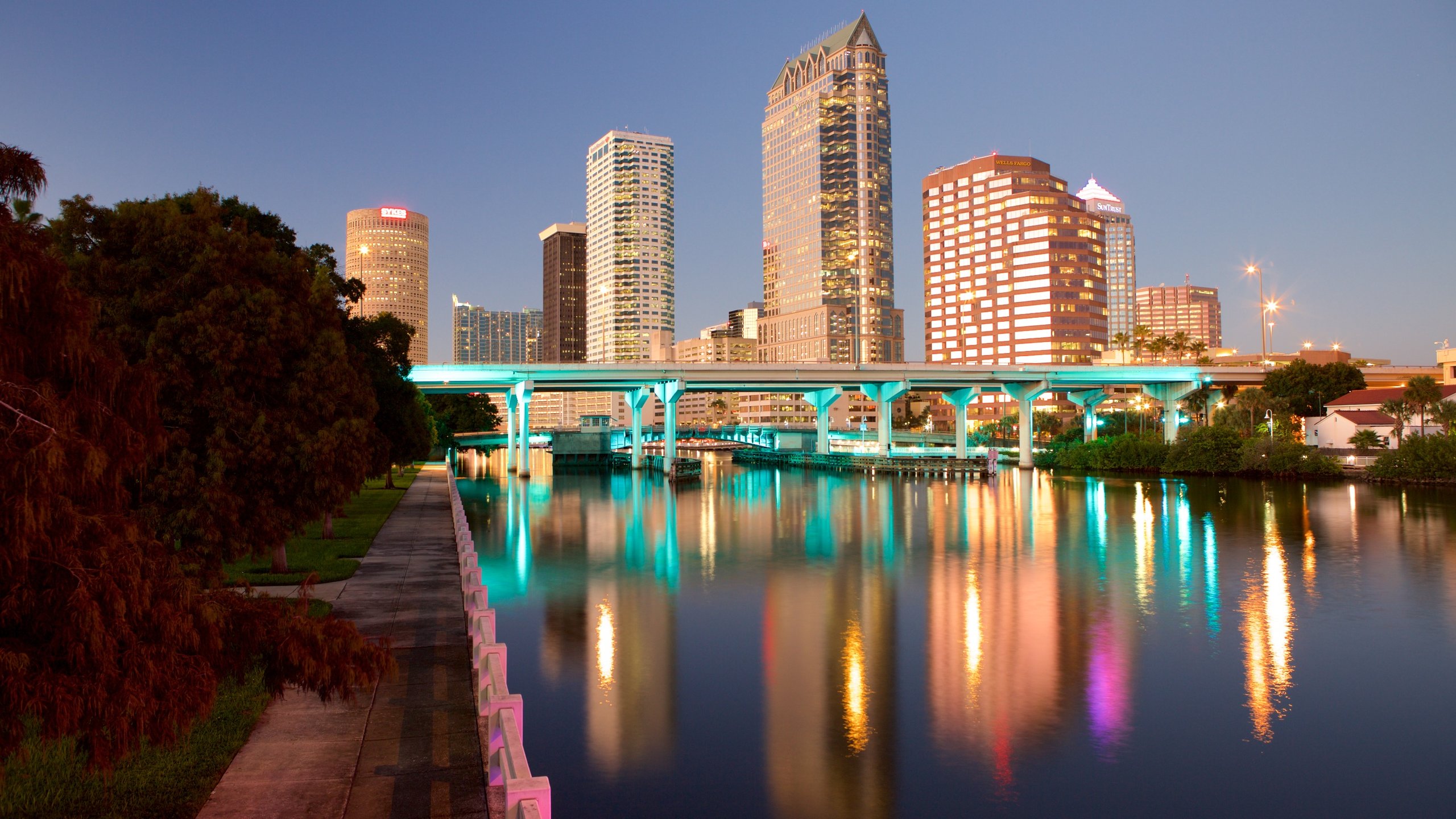 tampa bay city tour