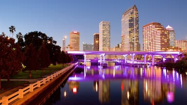Bahía de Tampa que incluye horizonte, escenas nocturnas y un río o arroyo