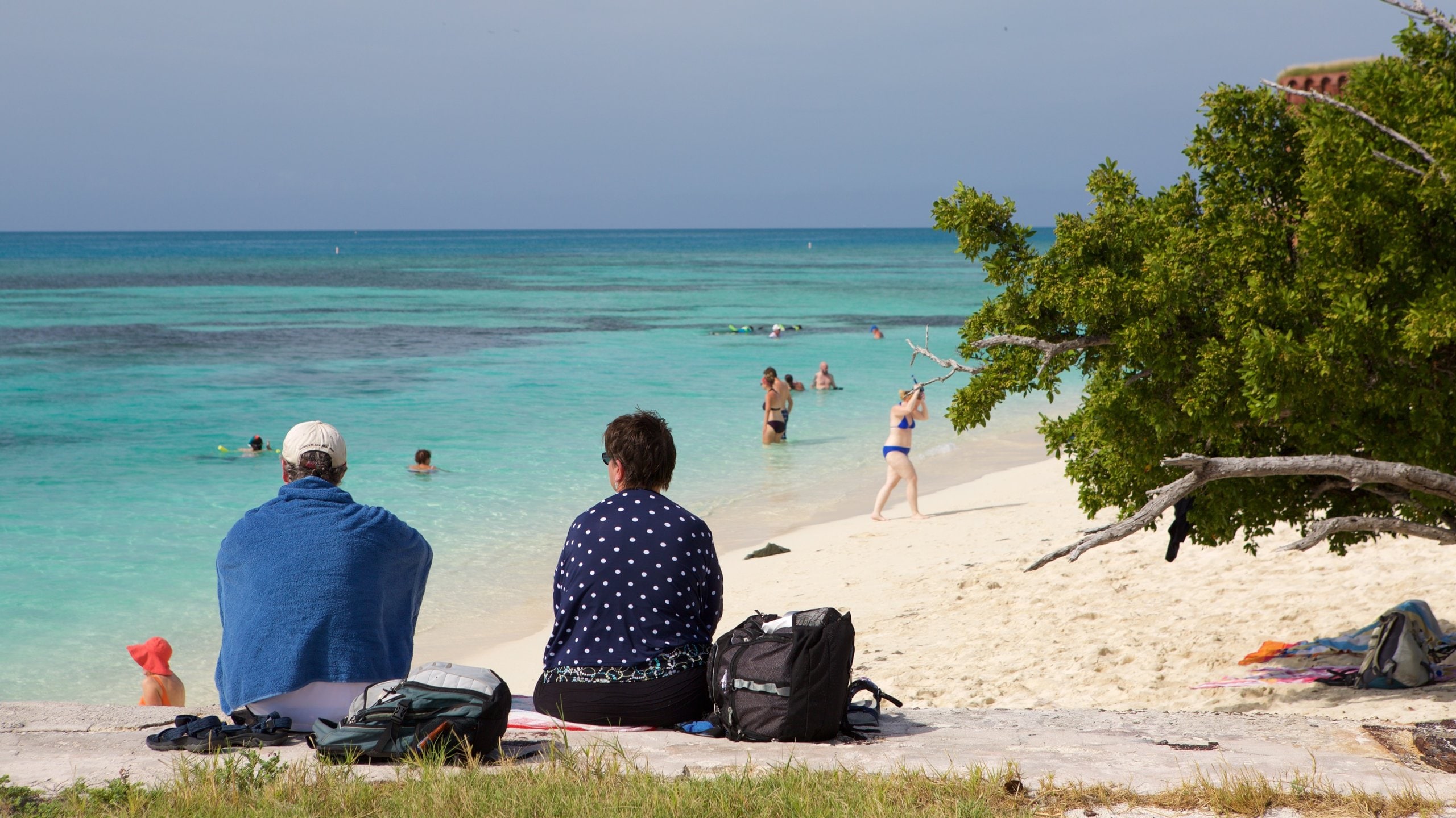 Dry Tortugas National Park featuring general coastal views and a sandy beach as well as a couple