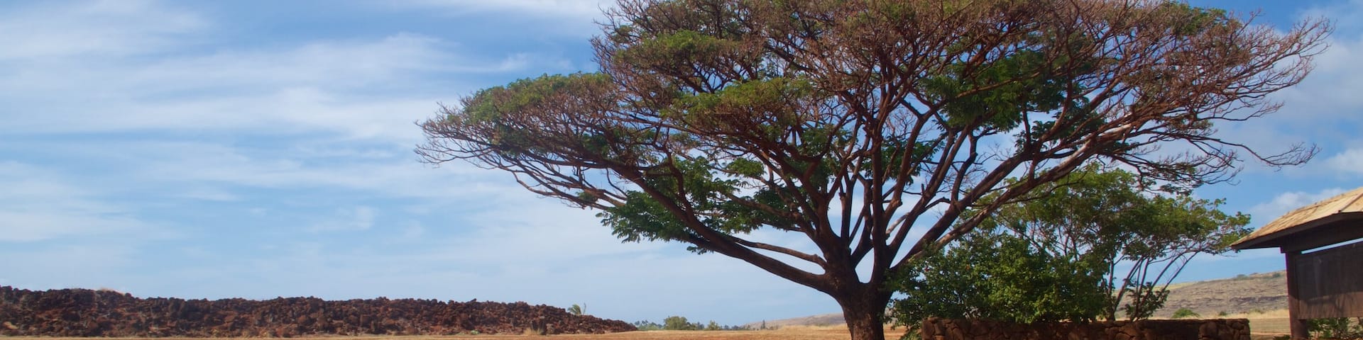 Russian Fort Elizabeth State Historical Park which includes tranquil scenes