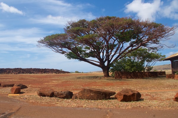 Russian Fort Elizabeth State Historical Park showing tranquil scenes